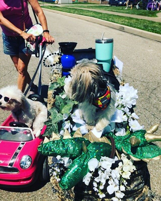 Arts Fest Dog Costume Contest 2019