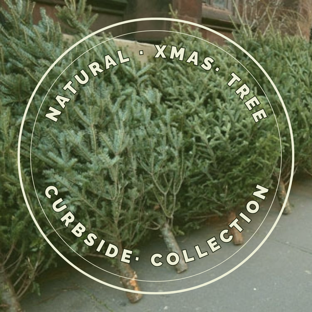 Naturtal Christmas Tree Collection